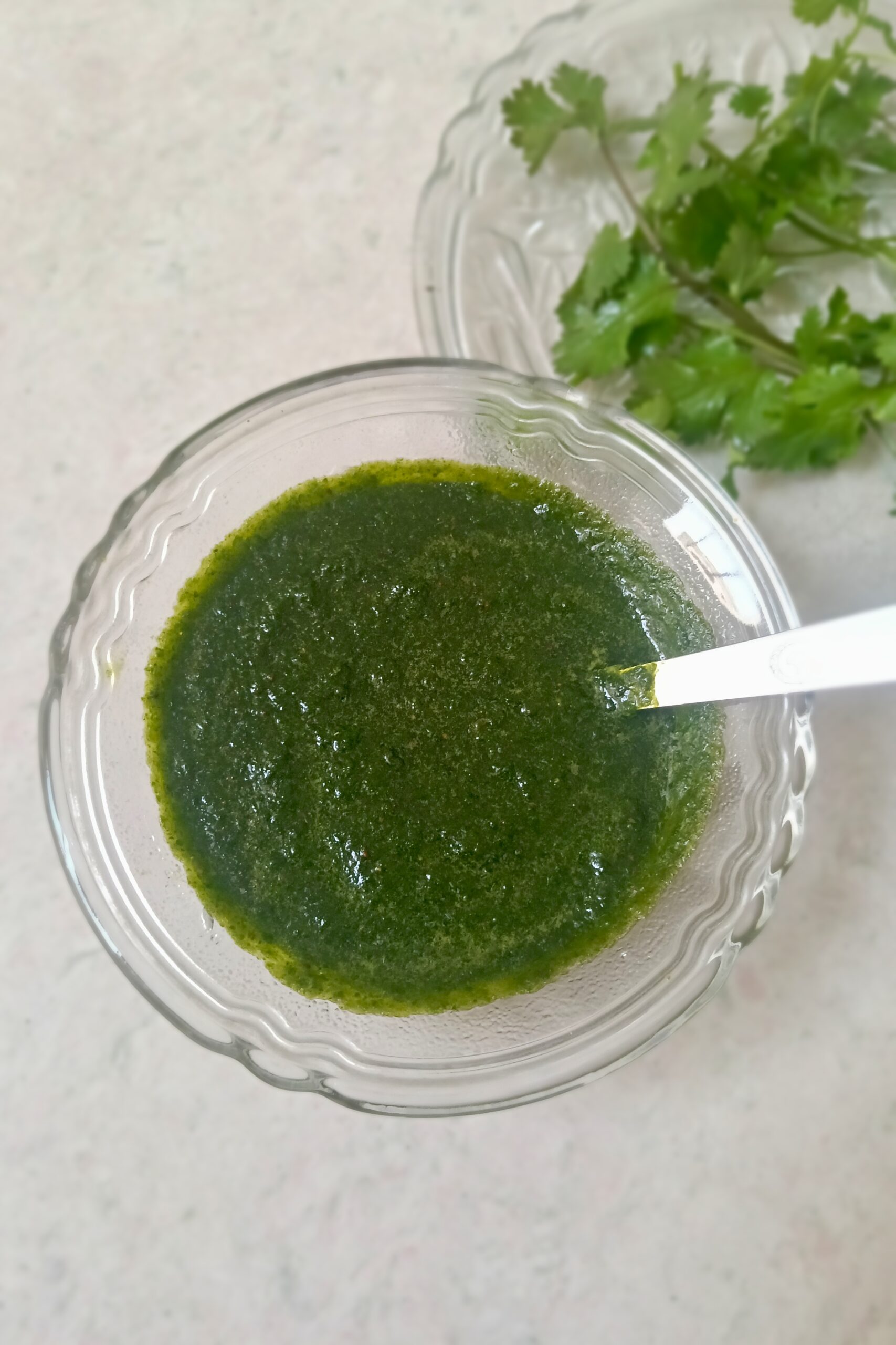 Homemade Green Chutney Recipe - Quick & Easy in 10 Minutes