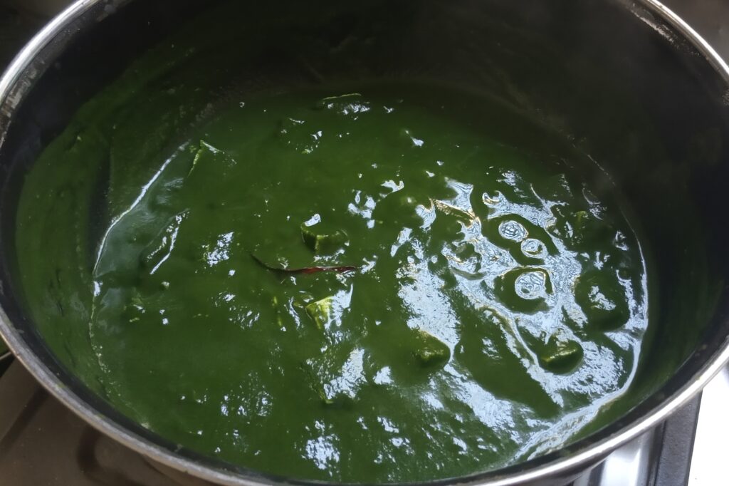 Homestyle palak paneer curry texture