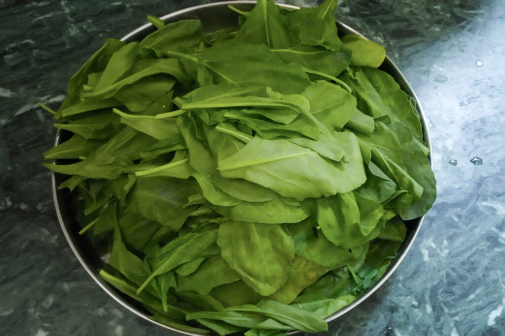 Fresh spinach leaves for palak paneer