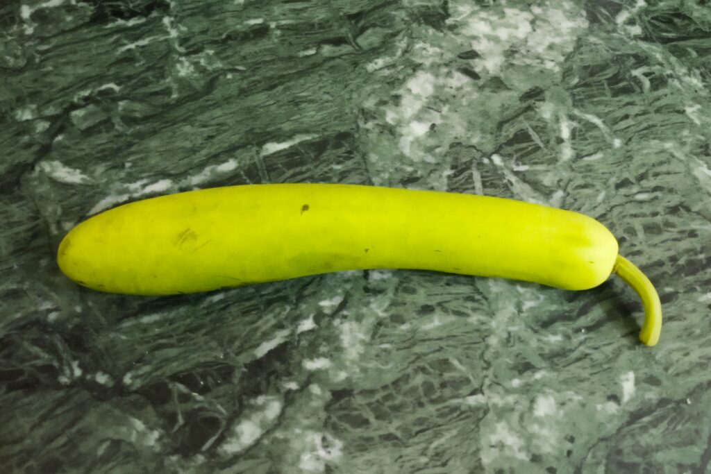 fresh bottle gourd for chopping