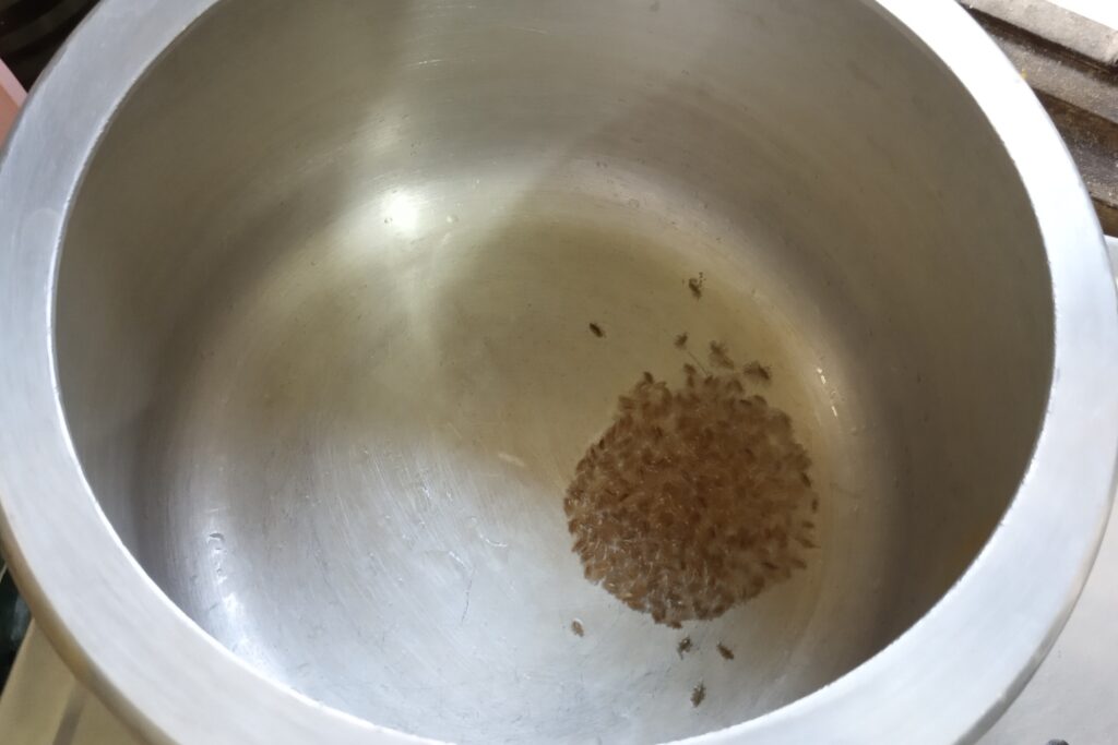 tempering cumin seeds in ghee
