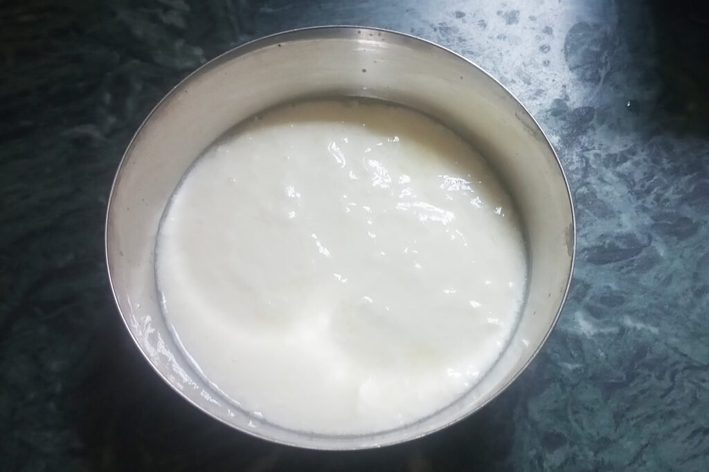 Fresh curd in a bowl